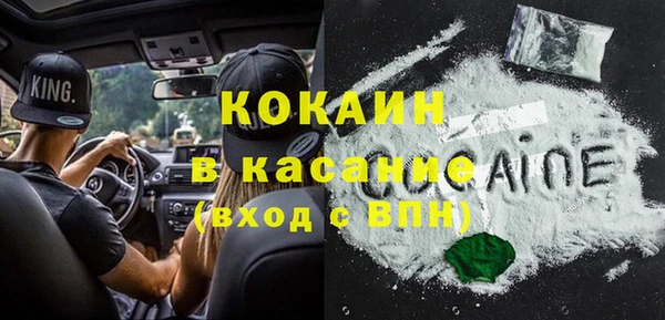 хмурый Ладушкин