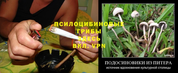 apvp Вязьма