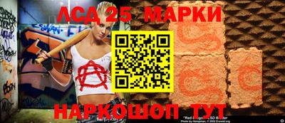 шишки Аргун