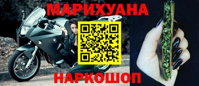 шишки Аргун